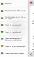 Constitution Togolaise capture d'écran 1