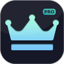 The King Root Checker Pro APK