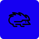 Wallpapers for Hedgehog-APK