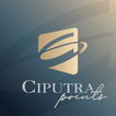 Ciputra Points icon