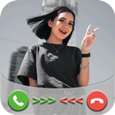 Domelipa Fake Call Prank APK