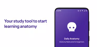 Daily Anatomy Flashcards