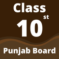 10th Class Punjabi Book