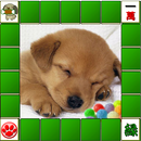 Shisen-Sho with Dog APK