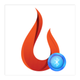Source Pro Fireplace Remote