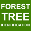 ”Forest Tree Identification