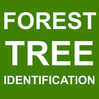 Forest Tree Identification ikona
