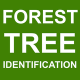 Forest Tree Identification Zeichen