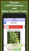 Forest Tree Identification capture d'écran 1
