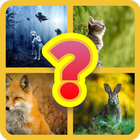Trivia Creature иконка