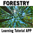 Forestry