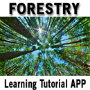 Forestry APK