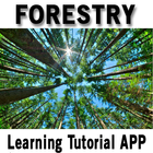 Forestry ikon