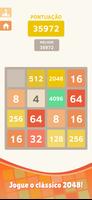 2048 Cartaz