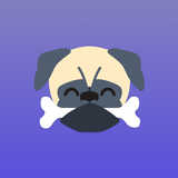 Guinea Pug icono