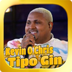 ◆ Mc Kevin O Chris || Tipo Gin