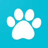 Cutest Cats Pictures