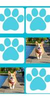 Cute Dogs Memory स्क्रीनशॉट 2