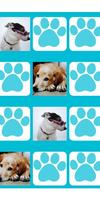 برنامه‌نما Cute Dogs Memory عکس از صفحه