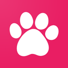 Cute Kittens Memory Game icon