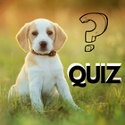 Dog Breeds Quiz - New 2019 圖標
