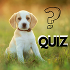 Icona Dog Breeds Quiz - New 2019