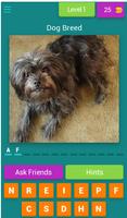 Dog Breeds Quiz - New 2019 Affiche