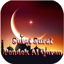 Surat Surat Pendek Al Quran Mp3 Offline APK