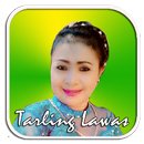 NENGSIH TARLING LAWAS MP3 APK
