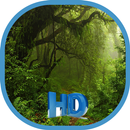 HD Forest Wallpapers Trees Jungle Backgrounds APK