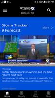 StormTracker 9 پوسٹر