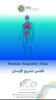 KFU Human Anatomy Atlas screenshot 1