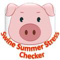 Swine Summer Stress