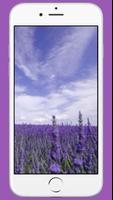 Lavender Wallpaper captura de pantalla 2