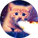 Space Cat Wallpaper APK