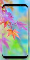 Autumn Wallpaper poster