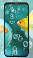 Bubbles achtergronden-poster