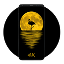 Papéis de Parede de Flamingo APK