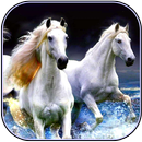 Fonds d'écran de cheval APK