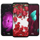 Rose Wallpapers icon