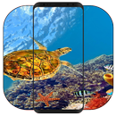 Fond d'écran Tortue APK