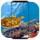 Fondo de Pantalla de Tortuga icono