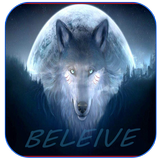 Fonds d'écran et loups Wolf 4K icône
