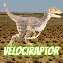Velociraptor APK