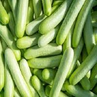 benefits of cucumber پوسٹر