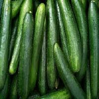 1 Schermata benefits of cucumber