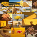 صور وخلفيات صفراء APK