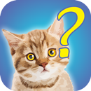 Tebak Gambar Hewan APK