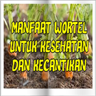 Khasiatt Wortel Untuk Kesehatan Dan Kecantikan Top 아이콘