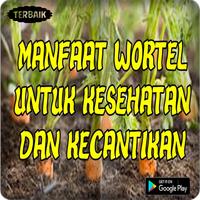 Khasiatt Wortel Untuk Kesehatan Dan Kecantikan Top Poster